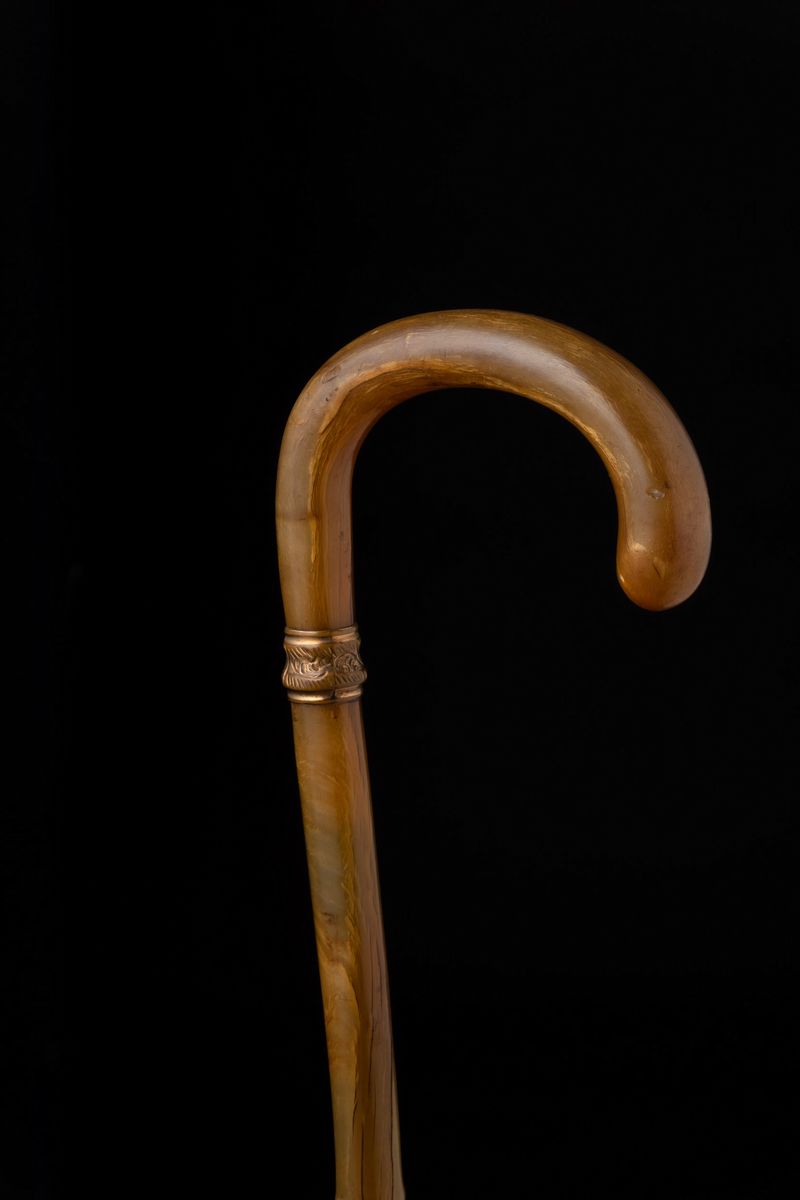 Bastone in Corno Spinato. Italia, Fine XIX Secolo