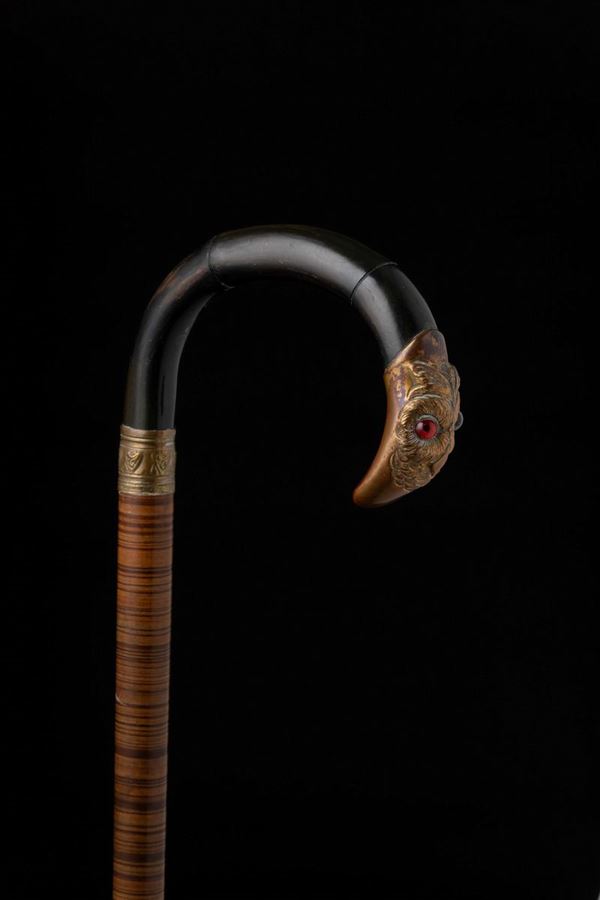 Bastone in corno ricurvo. Inghilterra, fine XIX secolo