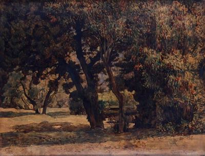 Paesaggio