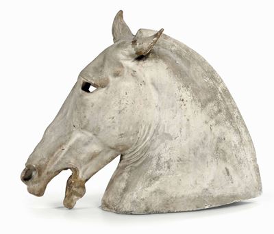 Testa di Cavallo in Gesso. XX Secolo