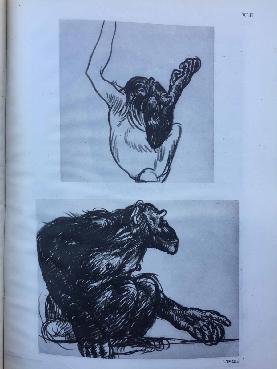 Romano Dazzi i Disegni di Romano Dazzi