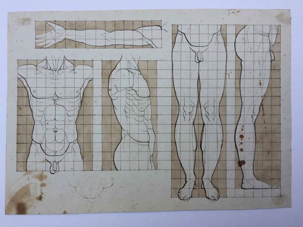 Antico disegno anatomico. Scuola toscana, primi 800