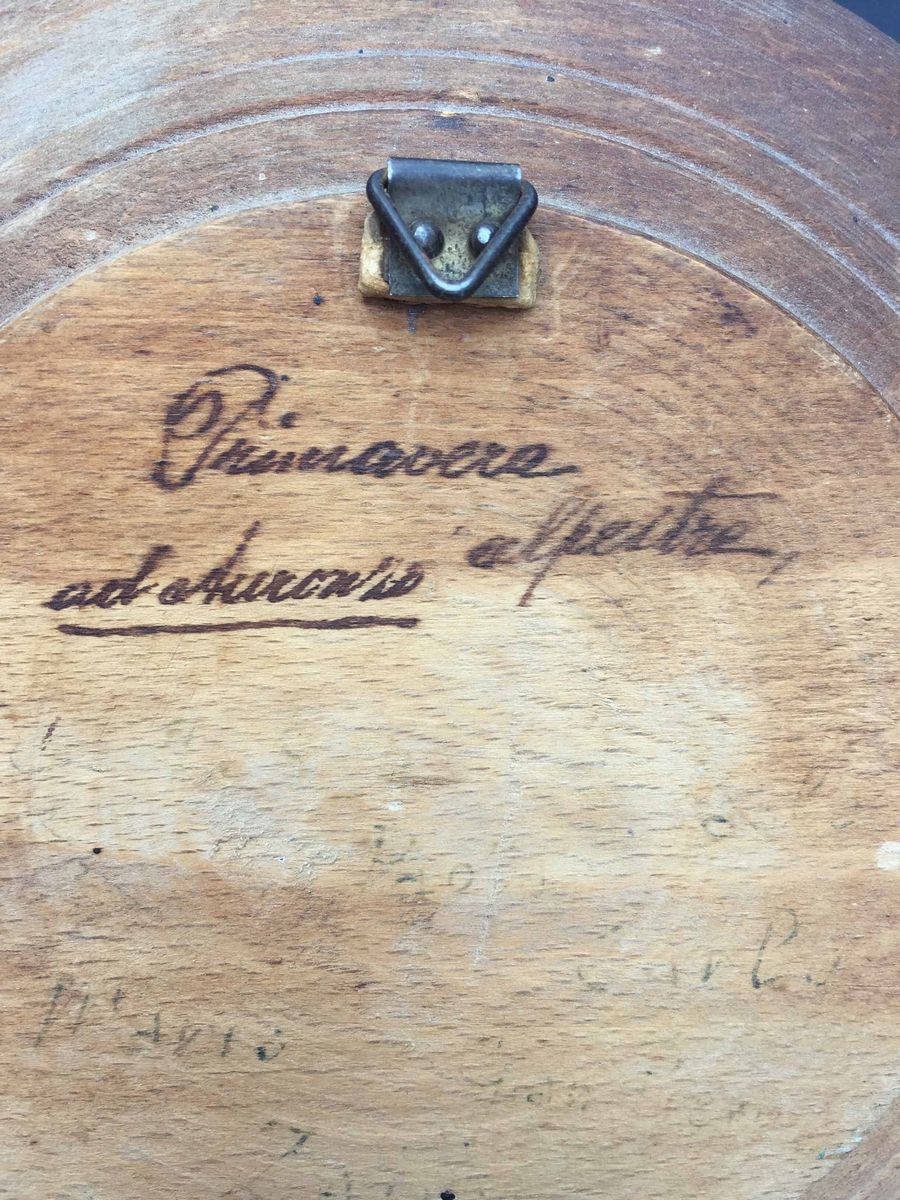 Anonimo, Inizio XX Secolo Primavera Alpestre Ad Auronzio