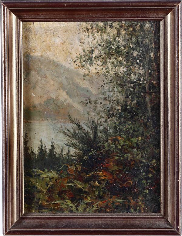 Pittore del XIX-XX secolo Veduta lacustre