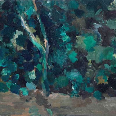 Siepe, 1966
