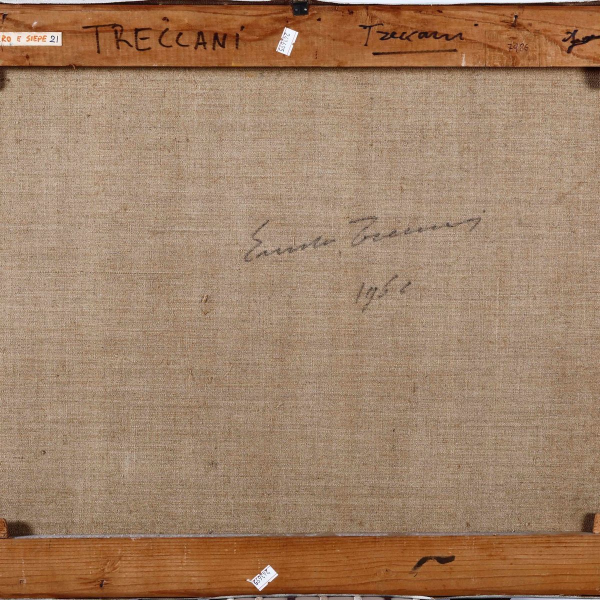 Ernesto Treccani - Siepe, 1966