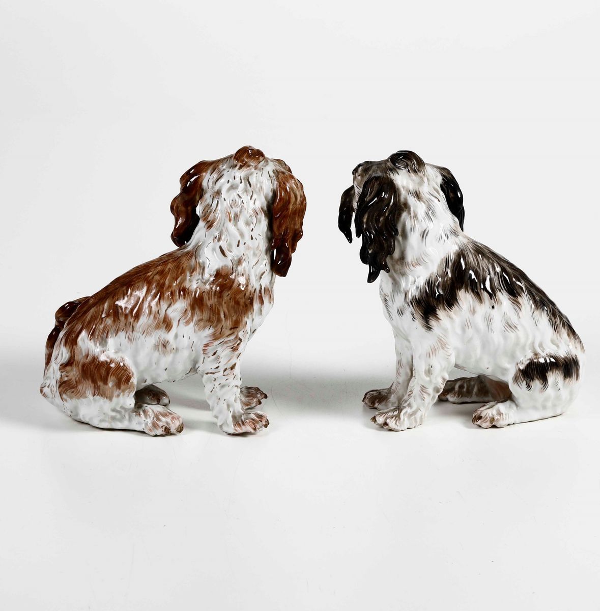 Coppia di Figurine di Cani Bolognesi. Meissen, Fine XIX o Inizio XX Secolo