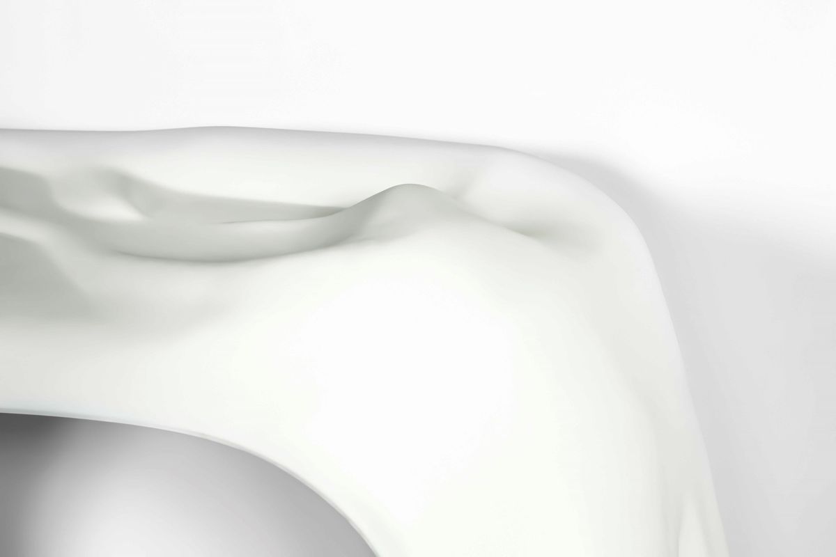 Roula Salamoun - Anatomy Console