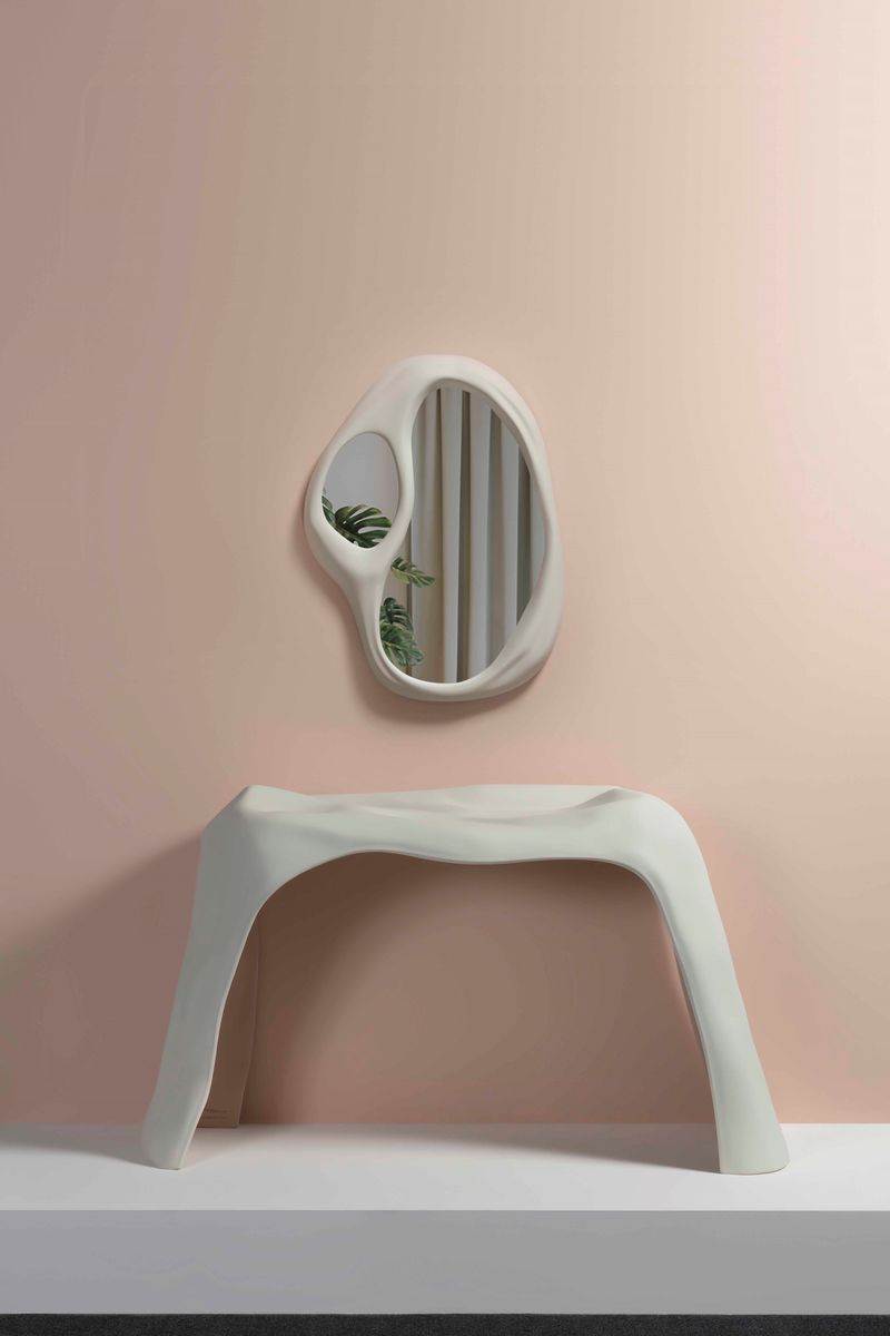 Roula Salamoun - Anatomy Mirror