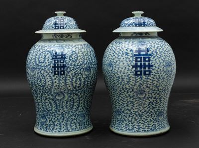 Coppia di Potiches in Porcellana Bianca e Blu con Decori Floreali e Ideogrammi, Cina, Dinastia Qi...