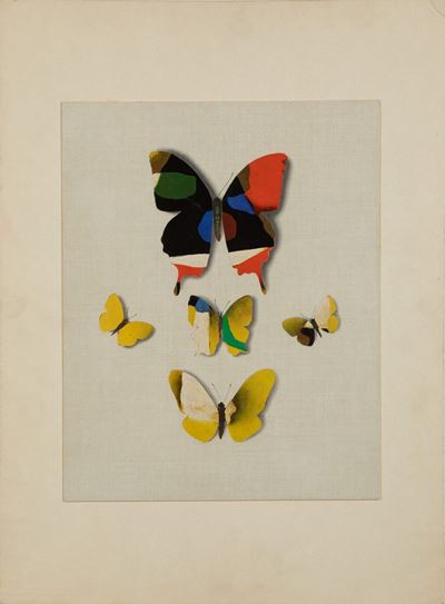 Butterflies