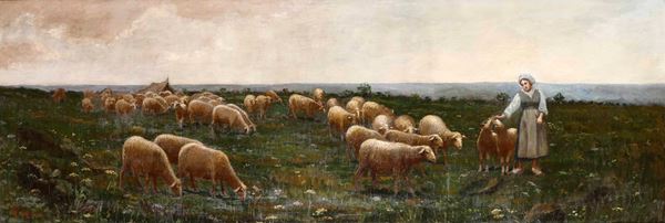 Pastorella con gregge di pecore