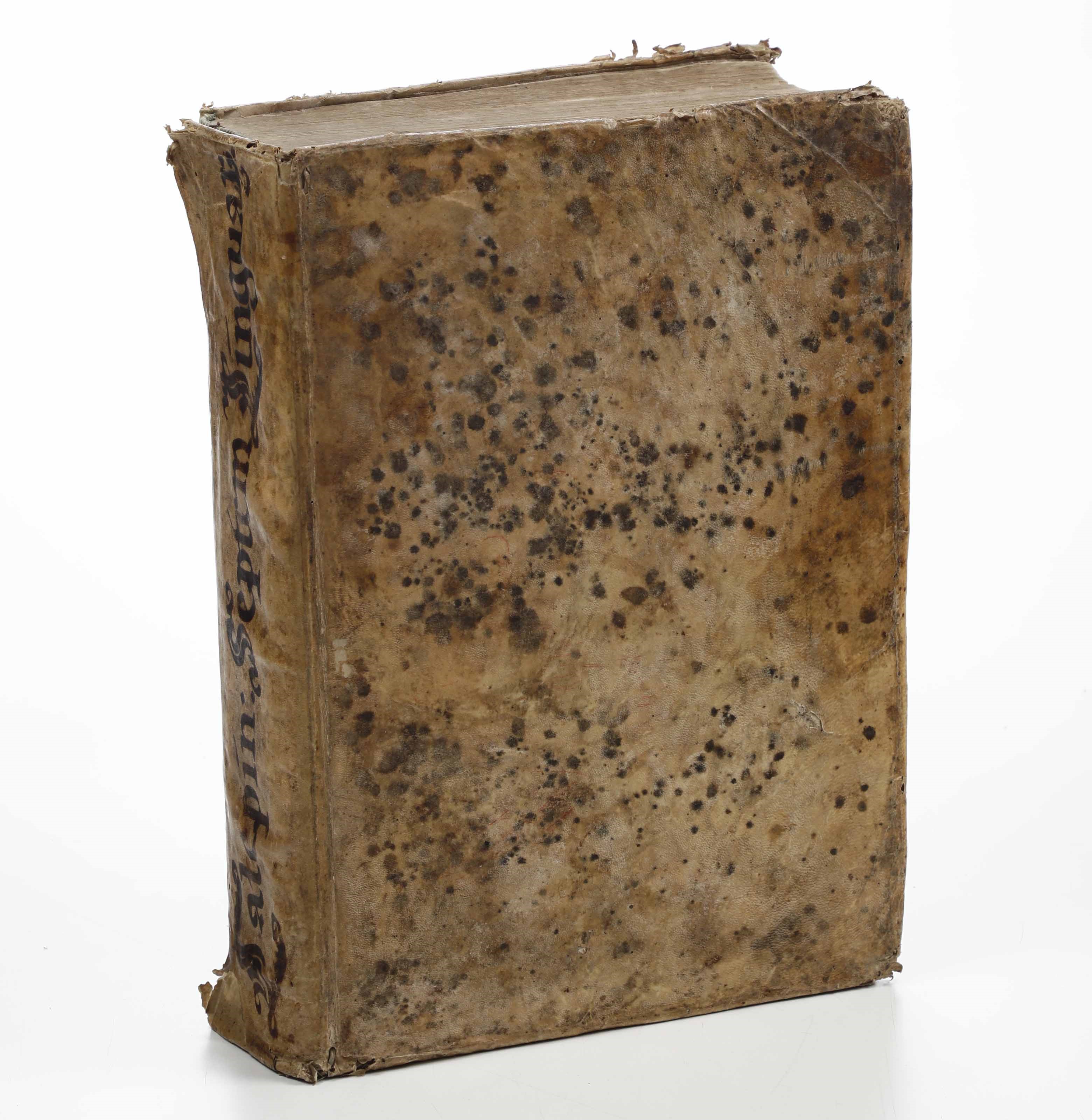 Ambrogio Calepino - Dictionarium septem linguarium, Venezia, Antonio Bortoli, 1700