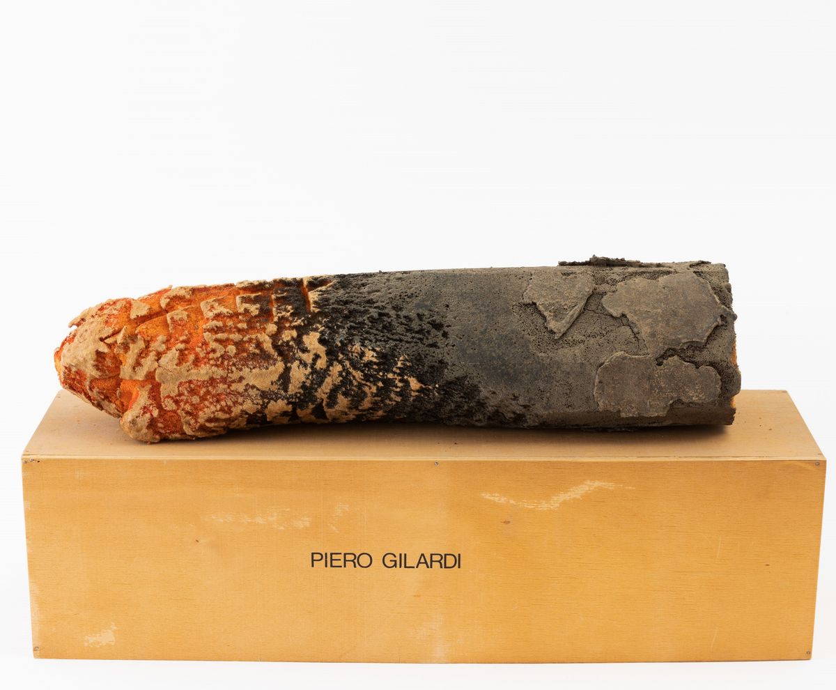 Piero Gilardi - Senza Titolo