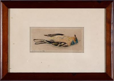 Uccellino