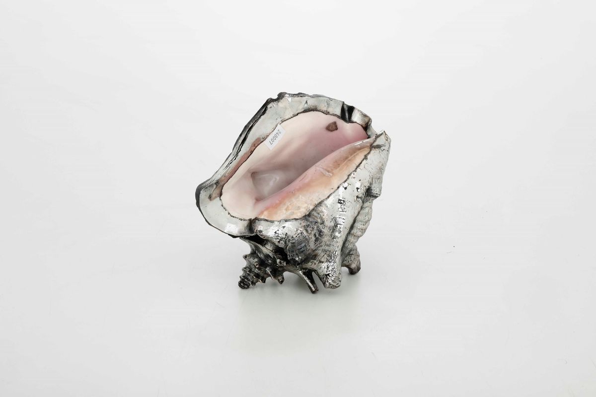 Conchiglia Rivestita in Argento. Maison Mario Buccellati, Italia XX Secolo
