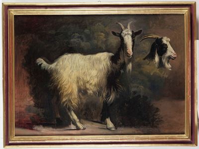 Studio per Figura di Capra