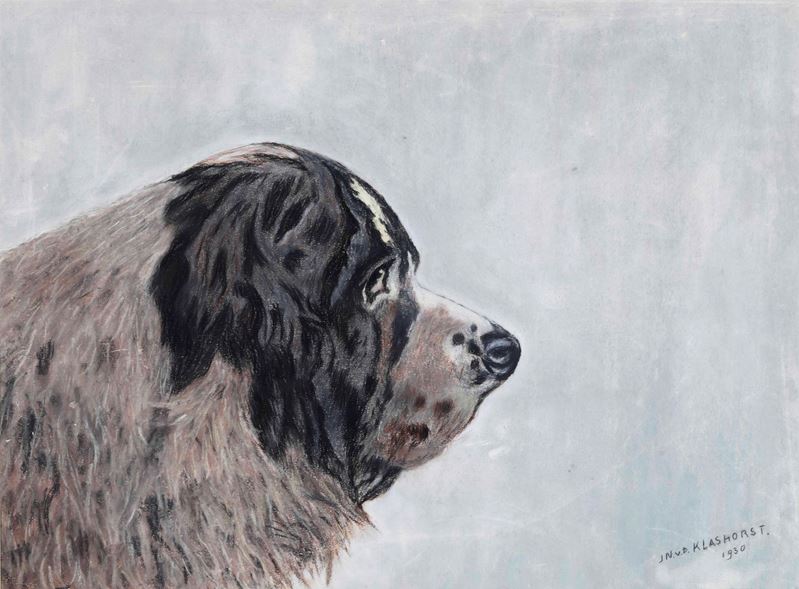 Peter Klashorst : San Bernardo  (1930)  - tecnica mista su carta - Asta Dall'Ottocento all'Arte Contemporanea - Cambi Casa d'Aste