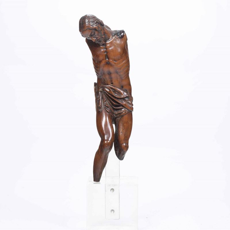 Cristo in legno.  XVII-XVIII secolo  - Auction Sculptures and Works of Art | Cambi Time - Cambi Casa d'Aste
