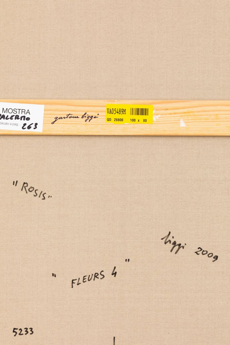 Gastone Biggi - Fleurs 4 "rosis", 2009