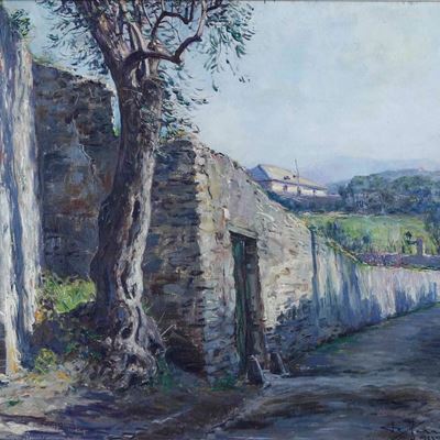 L'ulivo Secolare