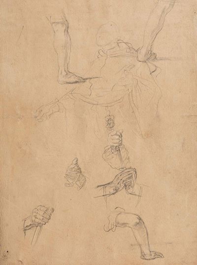 Scuola Napoletana del XVIII Secolo Studi Anatomici