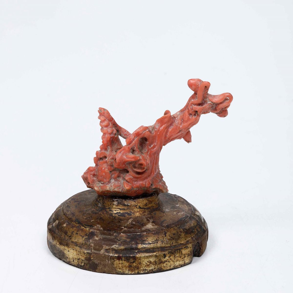 Scultura in Corallo Raffigurante Fondale Marino con Polpo, Murene, Anfore e Conchiglie. Napoli o ...