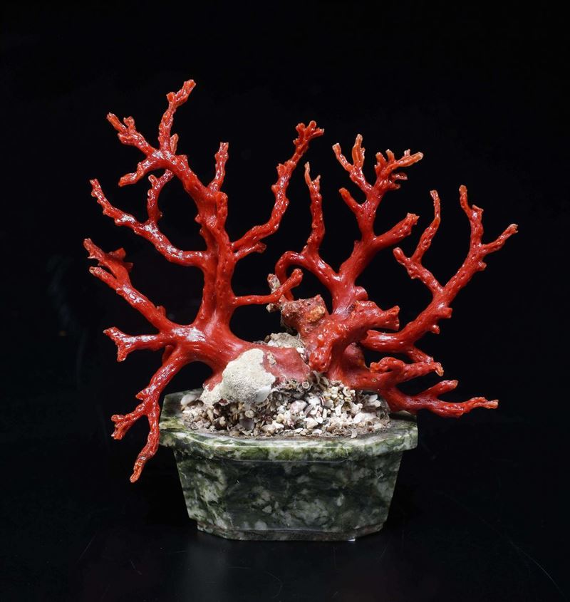 Ramo di corallo  - Asta Mirabilia Naturalia - Cambi Casa d'Aste