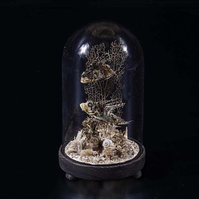 Diorama Marino
