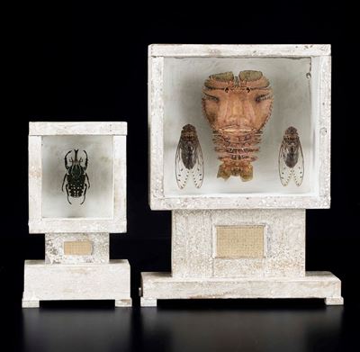 Teche Naturalistiche