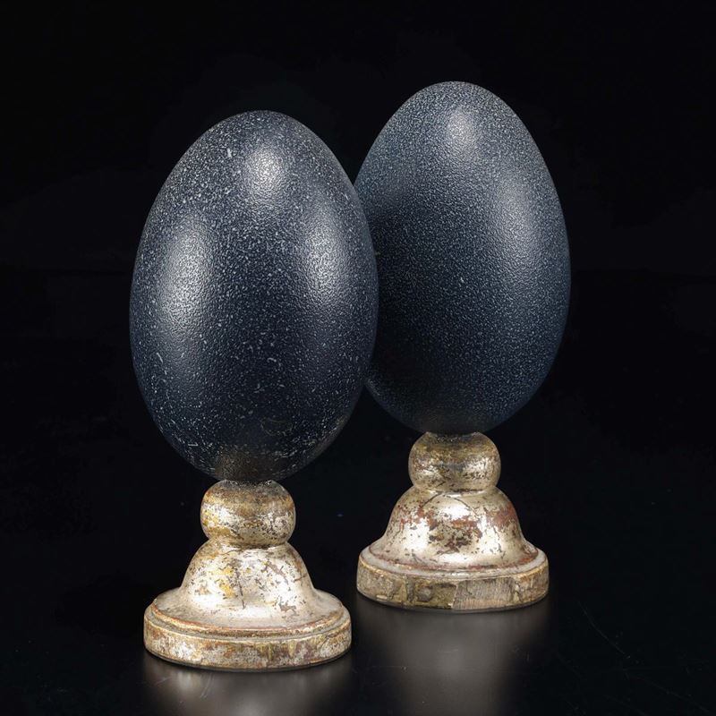 Emu eggs  - Auction Mirabilia Naturalia - Cambi Casa d'Aste