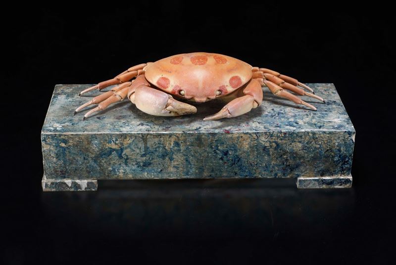Spotted crab  - Auction Mirabilia Naturalia - Cambi Casa d'Aste