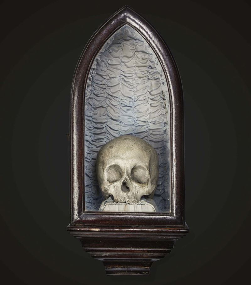 Memento mori  - Auction Mirabilia Naturalia - Cambi Casa d'Aste