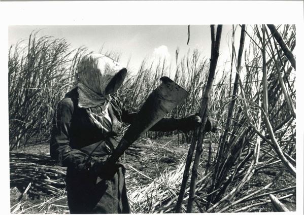 Brazil Sugar Cane, dalla serie “Workers”