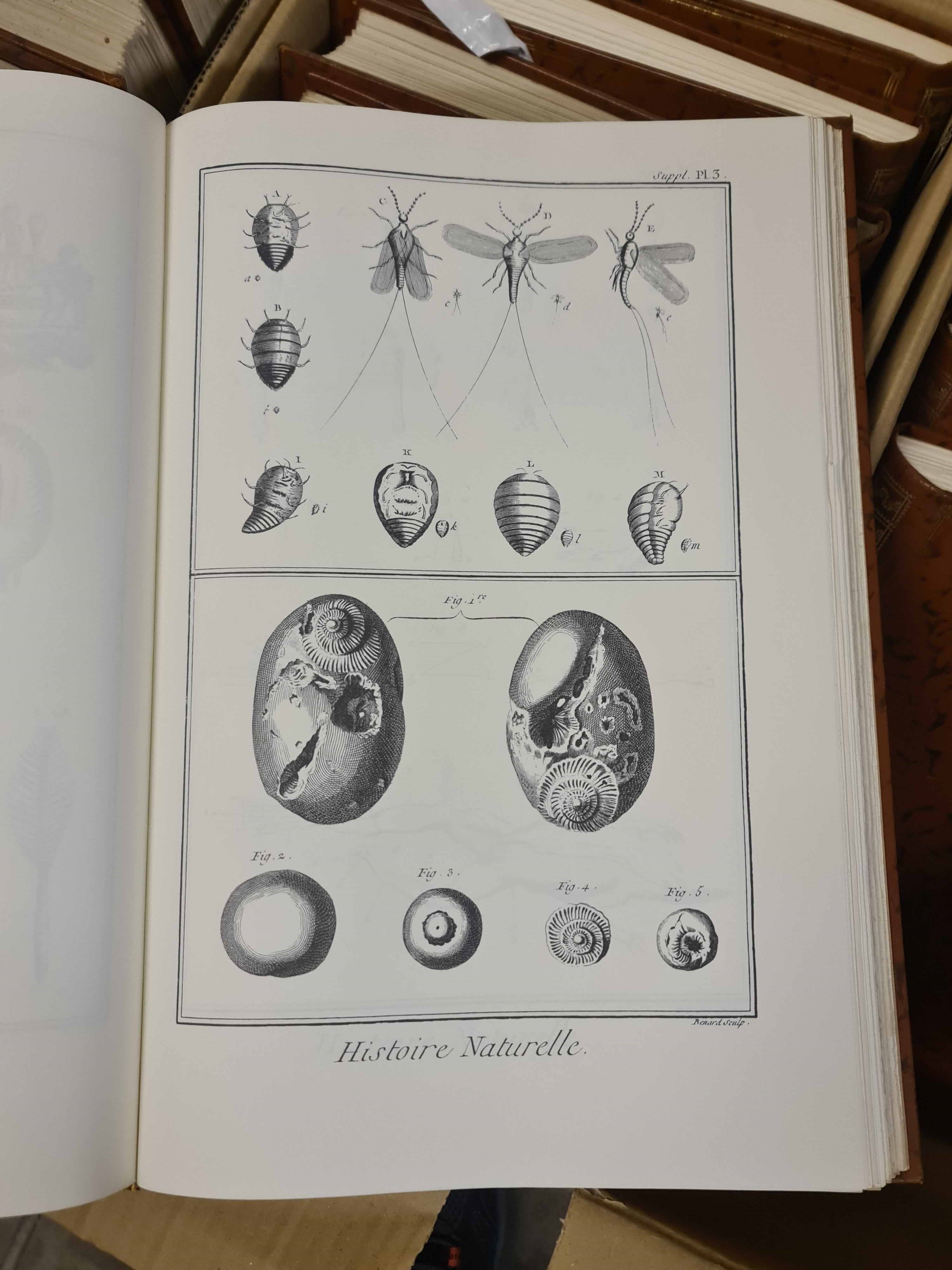 Diciotto Volumi Edizione Anastatica a Cura di Franco Maria Ricci Enciclopedie Diderot D'alambert