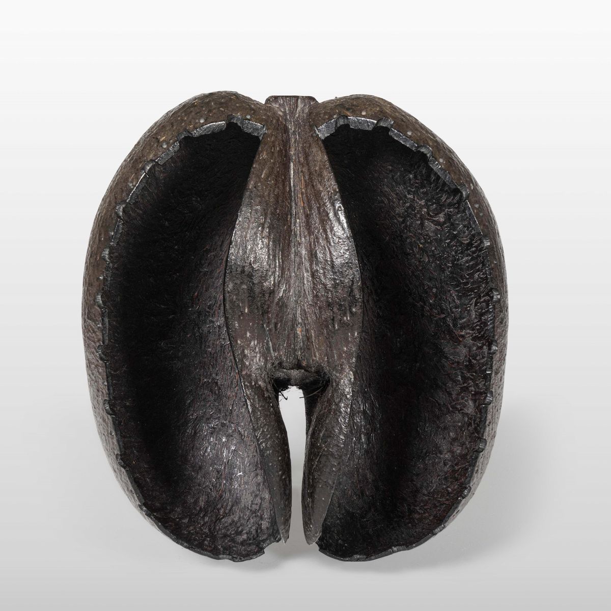 Paniere in Coco De Mer