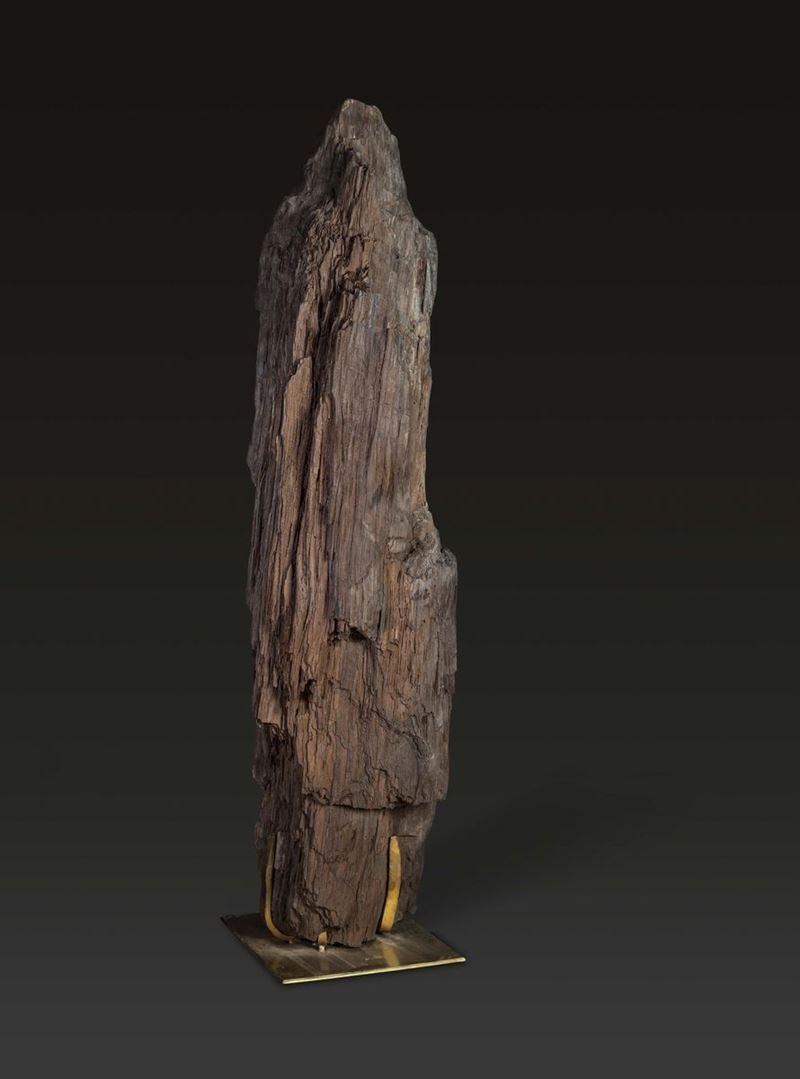 A crystallised fossil log  - Auction Mirabilia Naturalia - Cambi Casa d'Aste