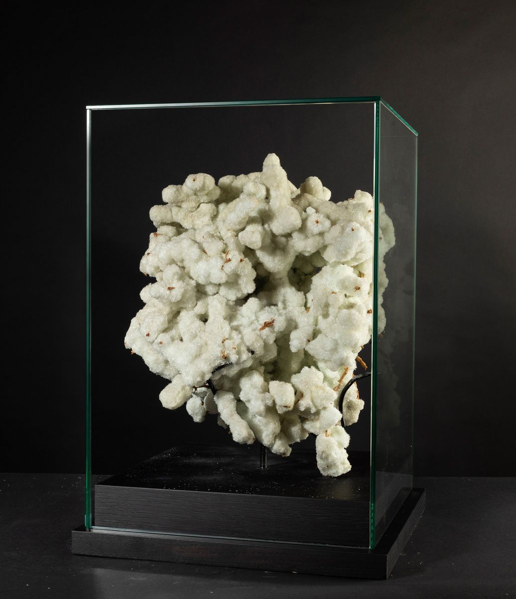 Gesso Australiano Bianco su Ramo in Teca.