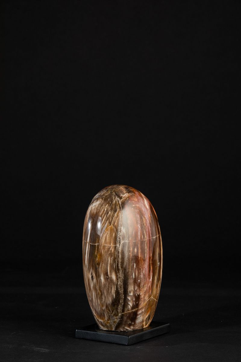 Legno Fossile su Base Nera