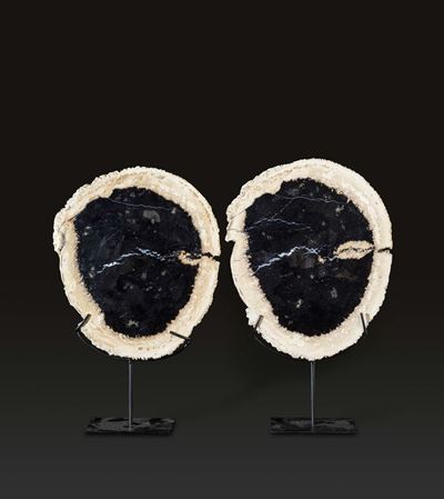 Coppia di Legno Fossile di Palma