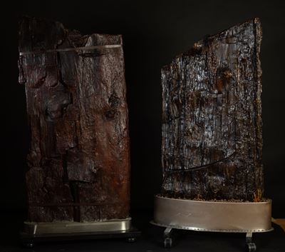 Coppia di Legni Fossili