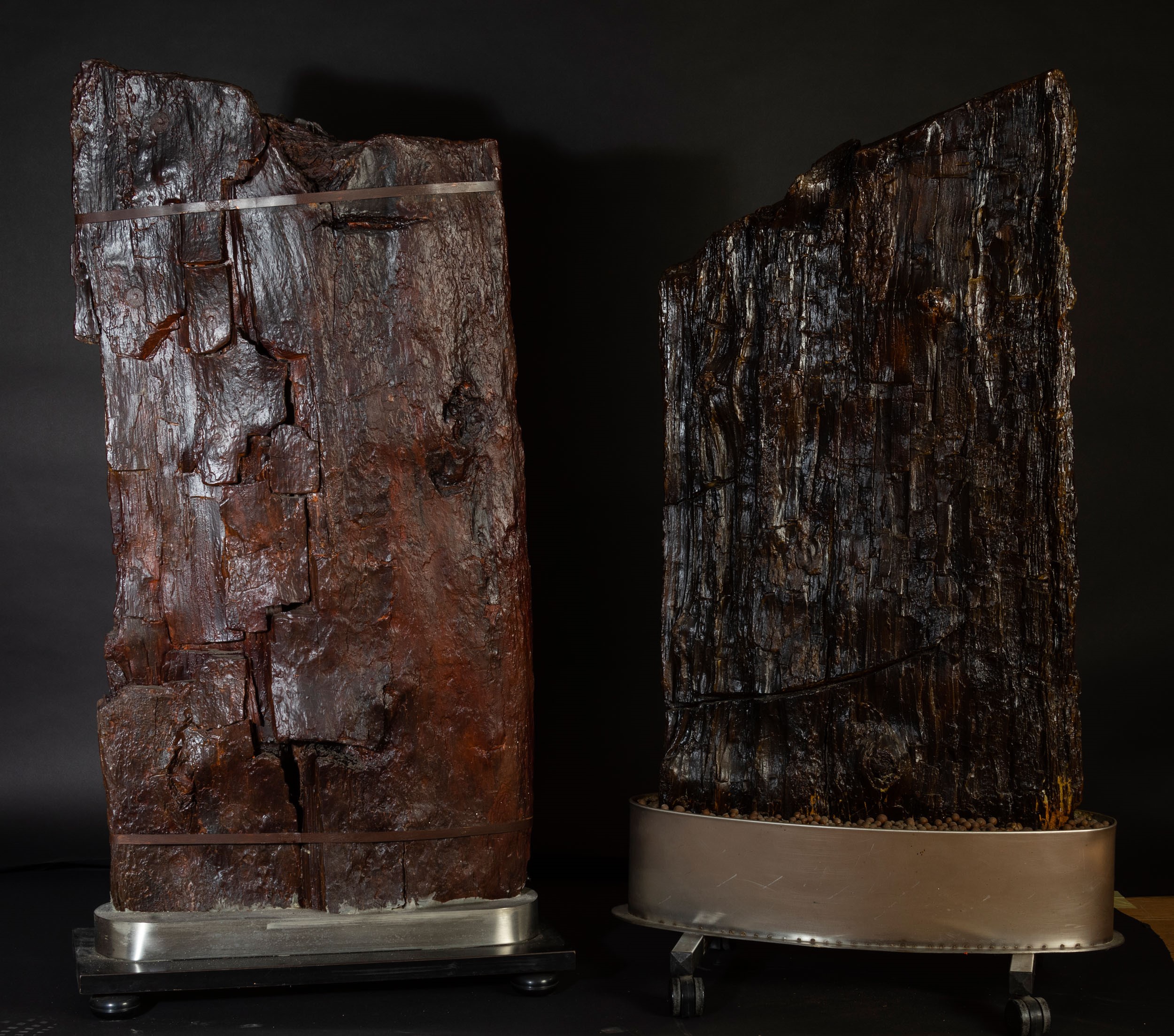 Coppia di Legni Fossili