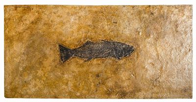Tavolino con Lastra Fossile