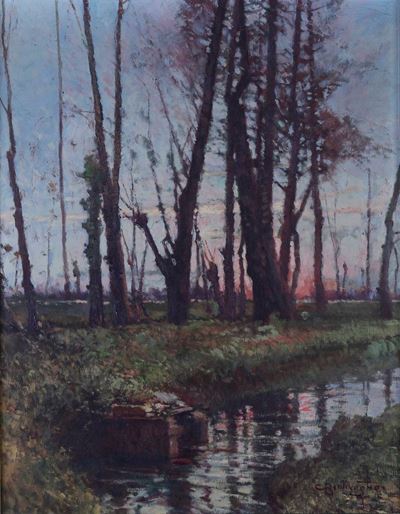 Paesaggio Boschivo
