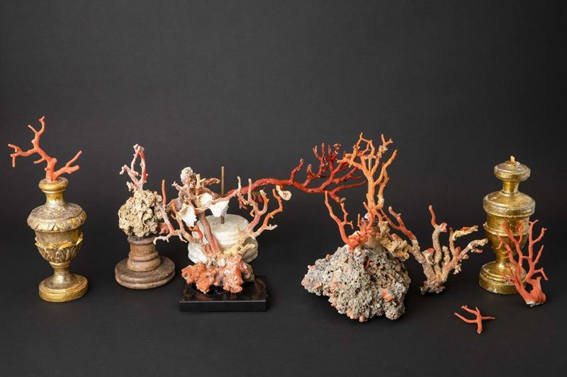Coral branch  - Auction Mirabilia Naturalia - Cambi Casa d'Aste