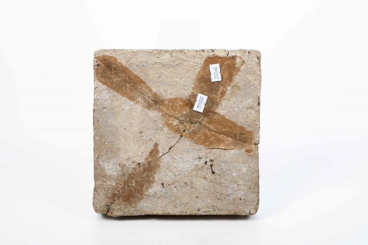 Mattonella, Fine XV - Inizio XVI Secolo (?)