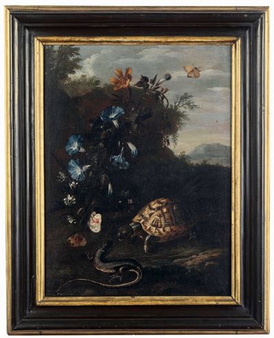 Natura Viva con Tartaruga e Ramarro
