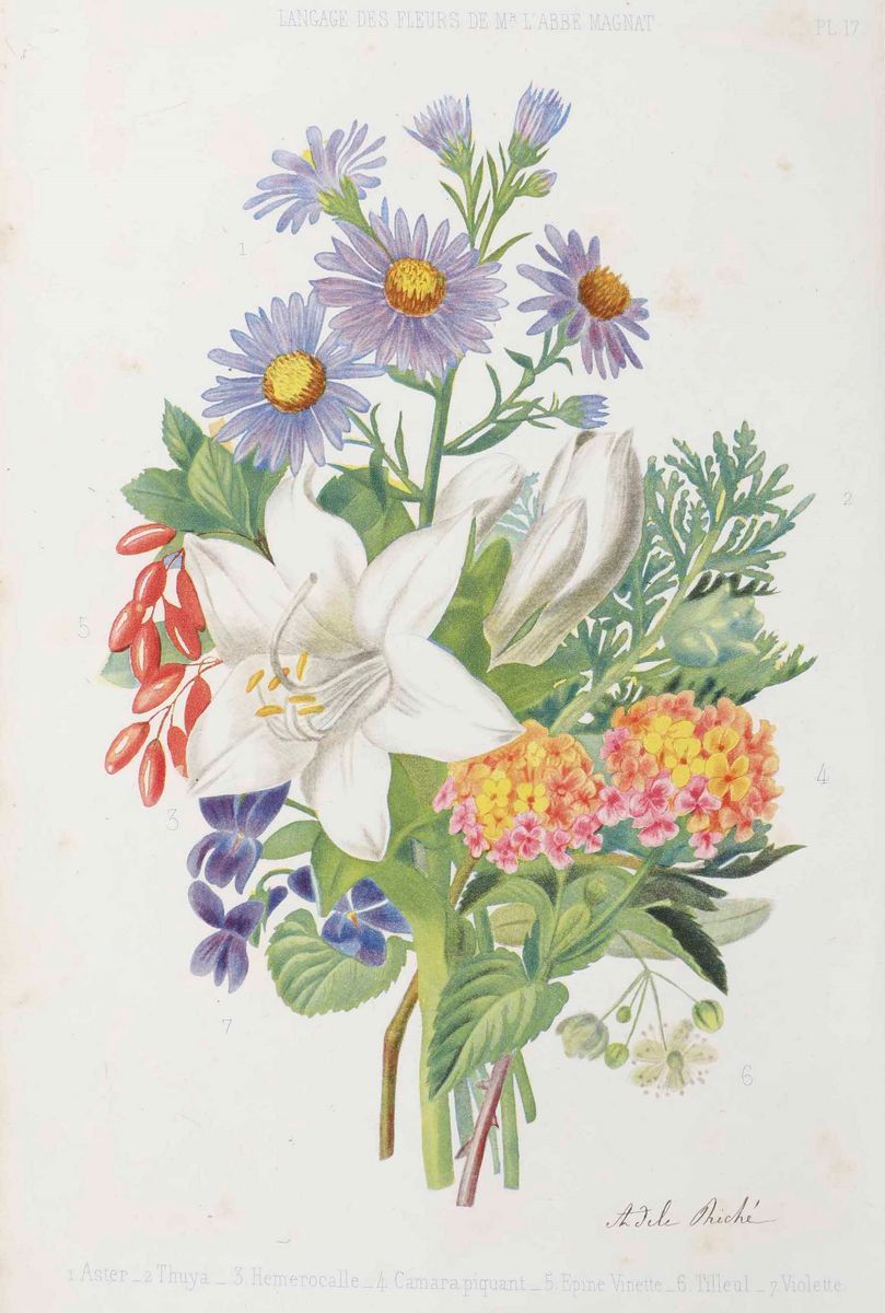 Casimir Magnat - Traité Du Langage Symbolique, Emblematique Et Religieux Des Fleurs, Paris, A. To...