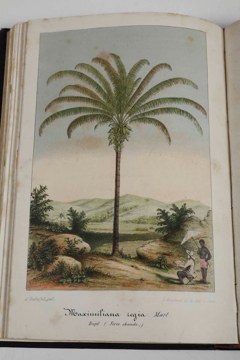 Casimir Magnat - Traité Du Langage Symbolique, Emblematique Et Religieux Des Fleurs, Paris, A. To...