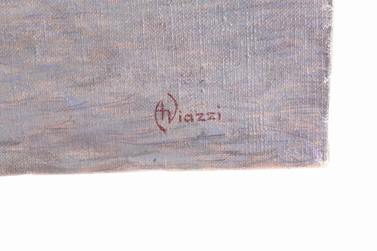 Alessandro Viazzi - Marina